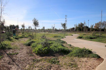 Alaquàs contará con un bosque mediterráneo periurbano de 7.460 metros cuadrados