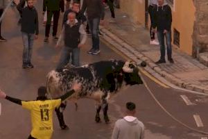 Ferit un home de 82 anys en el bou en corda d'Ontinyent