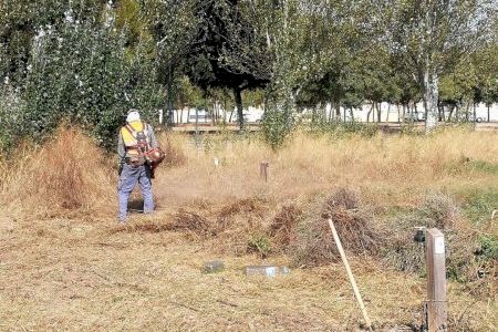 Almassora reactiva los huertos urbanos enfocados al cultivo permanente Almassora reactiva los huertos urbanos enfocados al cultivo permanente