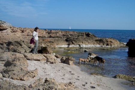 Cinta Marí, la educadora canina presenta en Castelló su libro 'Cien historias perrunas en seis palabras'