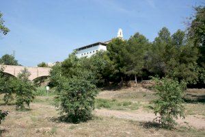 Almassora bonificará a familias que elijan para sus hijos los nombres Llorenç y Quitèria Almassora bonificará a familias que elijan para sus hijos los nombres Llorenç y Quitèria