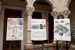 Tres proyectos noveldenses para la futura Glorieta