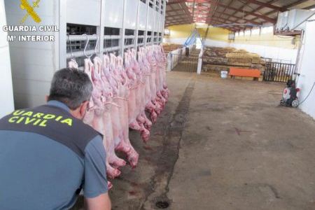 Descubren un matadero ilegal tras encontrar tripas de ovejas en la zanja de unas obras de Rafelbunyol