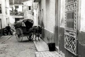 Benidorm incorpora a su Archivo 86 fotografías tomadas por un turista inglés en los primeros años del desarrollo turístico - (foto 2)