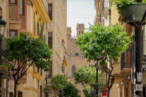 Castelló i la Vall d'Uixó, els grans municipis de la província que perden població Castelló i la Vall d'Uixó, els grans municipis de la província que perden població