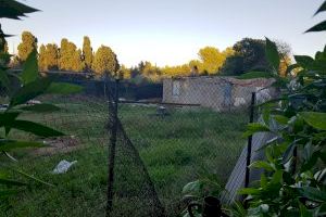 Detecten en els darrers mesos un augment de construccions il·legals al paisatge fluvial protegit de la Desembocadura del Millars - (foto 3)