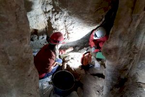 Descubren enterramientos de hace 4.800 años en la Serra d’Irta - (foto 2)