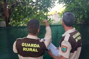 Detecten en els darrers mesos un augment de construccions il·legals al paisatge fluvial protegit de la Desembocadura del Millars - (foto 4)