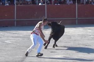 Descubre el cartel y las ganaderías de la feria taurina de invierno de la Vall d’Uixó