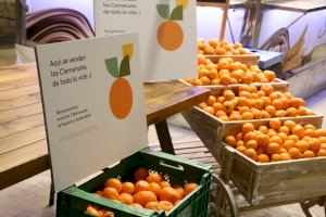La clemenules és la protagonista aquest cap de setmana en el festival gastronòmic de Nules