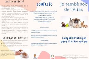 Desde hoy puedes registrar a tu mascota en el Censo Animal Municipal de l’Alfàs del Pi - (foto 2) Desde hoy puedes registrar a tu mascota en el Censo Animal Municipal de l’Alfàs del Pi - (foto 2)
