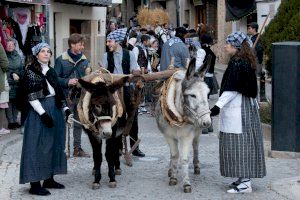 Morella preparada para Sant Antoni 2023 - (foto 3)