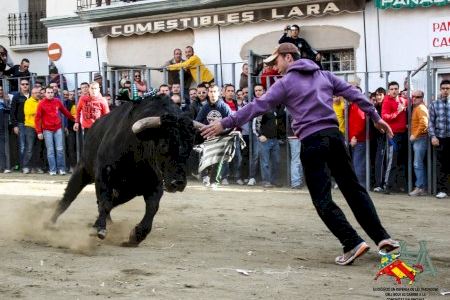 L'Associació en Defensa de les Tradicions de Bous al Carrer lliurament els premis de 2022