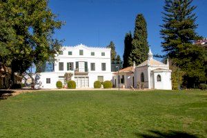 Miles de personas visitan Torrent para conocer su patrimonio turístico, cultural e histórico - (foto 2)