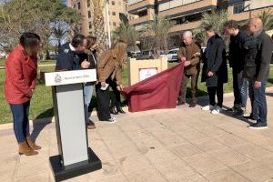 Pilar Amorós Pérez, la primera mujer arquitecta de la provincia, ya cuenta con un espacio público dedicado en su Elche natal - (foto 2) Pilar Amorós Pérez, la primera mujer arquitecta de la provincia, ya cuenta con un espacio público dedicado en su Elche natal - (foto 2)