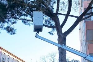 L’Ajuntament de València incrementa un 400% la poda d’arbrat durant els primers quatre mesos de la nova contracta de jardineria - (foto 2)