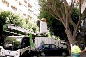 L’Ajuntament de València incrementa un 400% la poda d’arbrat durant els primers quatre mesos de la nova contracta de jardineria - (foto 4)