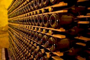 "Sorpresa i indignació" entre els productors del Cava de Requena després del recurs dels cellers catalans