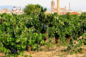 La Diputació abordarà a Utiel els problemes de la despoblació amb el segon congrés de solucions per al medi rural