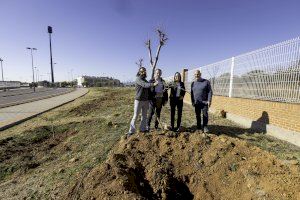 La UJI finaliza la fase arbórea del Bosque de la Sostenibilidad La UJI finaliza la fase arbórea del Bosque de la Sostenibilidad