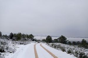 El tiempo en Requena: El frío y el viento serán protagonistas la próxima semana