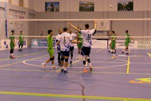 Los equipos del CV Playas de Benidorm regresan al Palau d'Esports para disputar dos partidos muy importantes para su futuro - (foto 2)