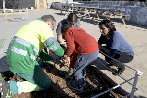 Finalitzen les activitats amb motiu del Dia de l’Arbre a Paiporta - (foto 2)