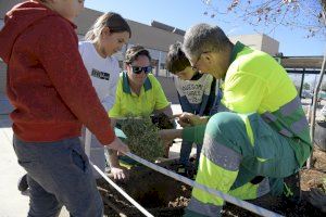 Finalitzen les activitats amb motiu del Dia de l’Arbre a Paiporta - (foto 3)