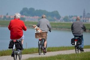 Un seminari analitza els Drets Humans davant l’envelliment