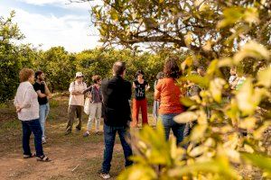 Castelló acollirà el dissabte el Mercat de la Terra amb productes de proximitat i ecològics