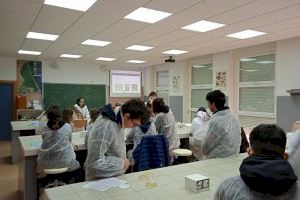 L'IES de Foios participa amb la Universitat de València en un projecte d'investigació de nous antibiòtics - (foto 2)