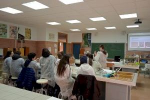 L'IES de Foios participa amb la Universitat de València en un projecte d'investigació de nous antibiòtics