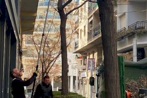 Calp inicia la poda del arbolado del municipio