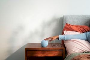 ¿Qué preguntamos los valencianos a Alexa? El tiempo y las fallas se cuelan en el ranking