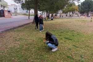 Almenara señaliza los excrementos de los perros en las calles y parques para visibilizarlos y concienciar sobre la necesidad de recogerlos - (foto 8) Almenara señaliza los excrementos de los perros en las calles y parques para visibilizarlos y concienciar sobre la necesidad de recogerlos - (foto 8)