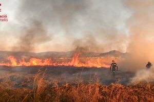 Susto en Almenara al incendiarse la marjal