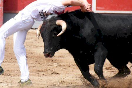 Els concursos de retalladors arriben a Falles i Magdalena: aquestes són les dates