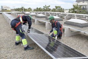 Urbanismo instala las primeras placas solares para la Comunidad Energética Local de Paiporta - (foto 2) Urbanismo instala las primeras placas solares para la Comunidad Energética Local de Paiporta - (foto 2)