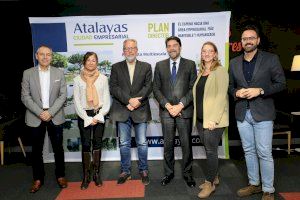 Alicante lanza la ampliación en 650.000 metros cuadrados de Las Atalayas y remite el expediente a la Generalitat - (foto 5)