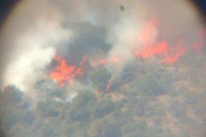 Francisco Gómez Matas Francisco Gómez Matas