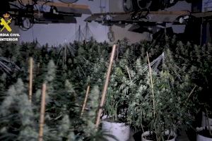 Desarticulada en Alicante una red criminal de tráfico de drogas a nivel europeo que usaban las últimas tecnologías para su cultivo - (foto 4)