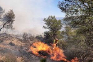 Estabilitzat l'incendi forestal declarat a Casinos Estabilitzat l'incendi forestal declarat a Casinos