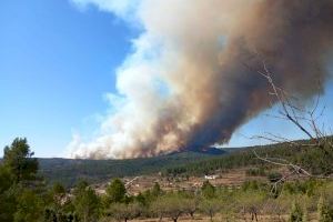 1.000 hectàrees cremades i 8 poblacions desallotjades en l'incendi de Castelló - (foto 3)