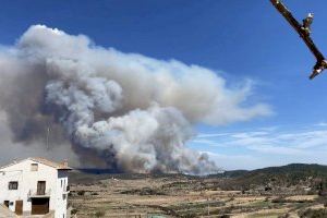 1.000 hectàrees cremades i 8 poblacions desallotjades en l'incendi de Castelló - (foto 2)