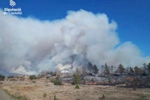 1.000 hectàrees cremades i 8 poblacions desallotjades en l'incendi de Castelló - (foto 7)