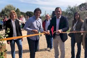 Obri les portes el Laberint de Peníscola, el més gran d'Espanya - (foto 3)