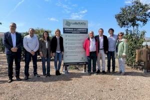 Obri les portes el Laberint de Peníscola, el més gran d'Espanya - (foto 4)