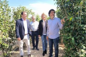Obri les portes el Laberint de Peníscola, el més gran d'Espanya - (foto 2)