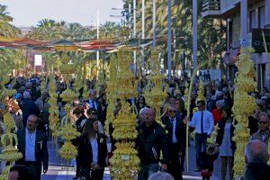 Diumenge de Rams 2023: Aquesta és la ciutat de la C. Valenciana on es fabriquen les palmes blanques