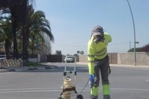 Vila-real adelanta el refuerzo de los tratamientos para prevenir los focos de mosquitos en el término municipal